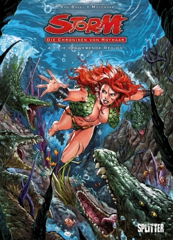 Storm - Die Chroniken von Rothaar 4