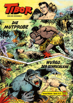 Hansrudi Wäscher Spezial 9