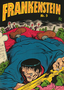 Frankenstein 05